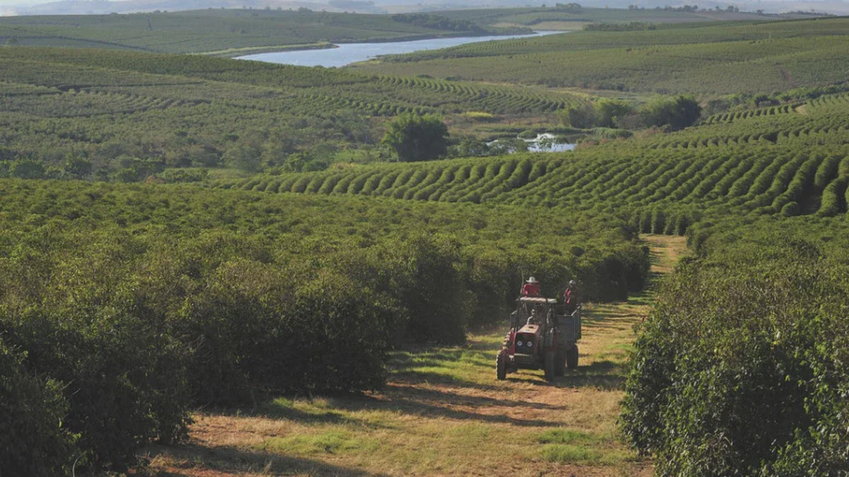 Die EU verteilt 56 Millionen Euro: Unterstützung für geschädigte Landwirte startet