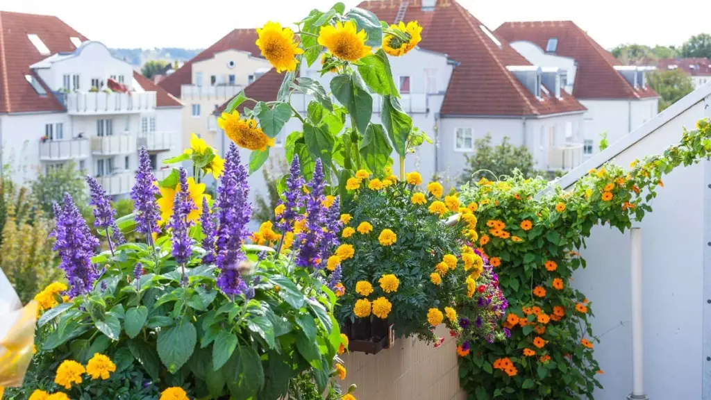 Mit diesen Methoden überstehen Ihre Balkonpflanzen die Urlaubszeit